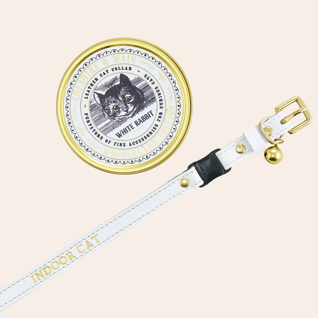 Wonderland - White Rabbit Cat Collar