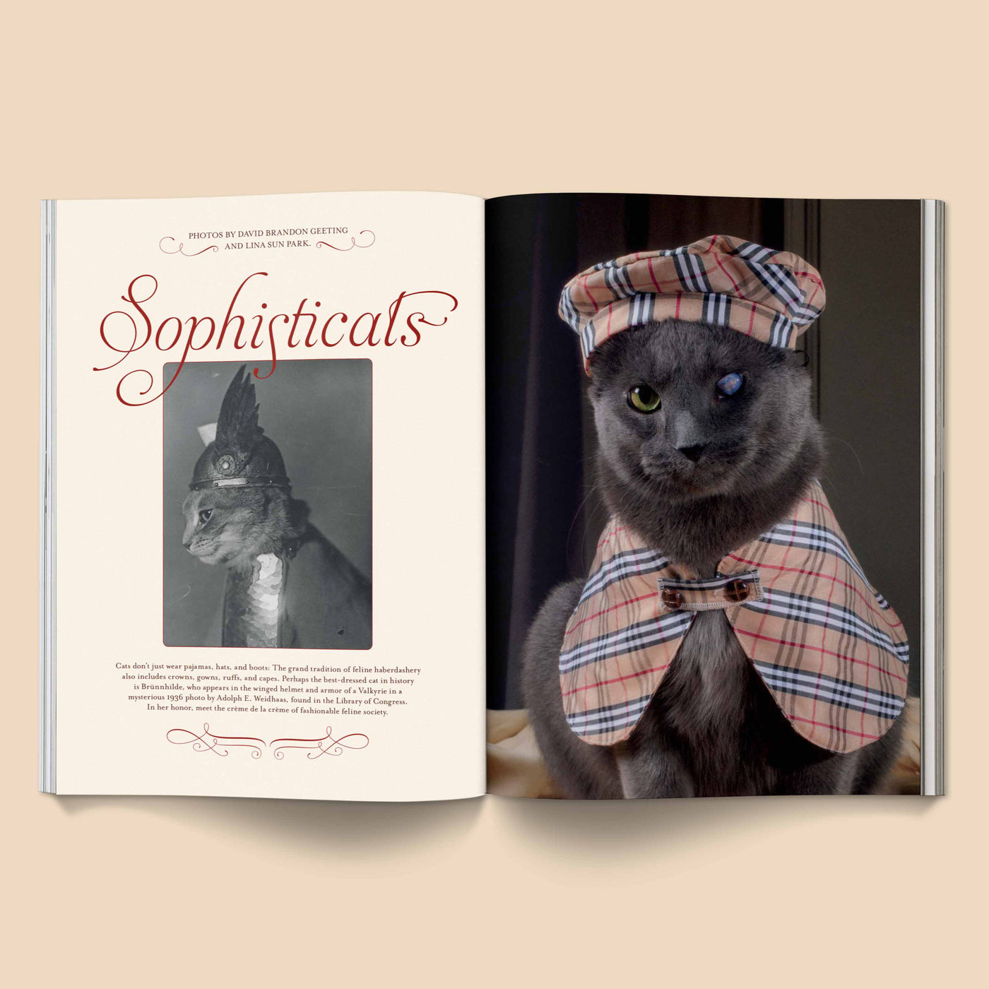 Catnip Magazine Vol 1