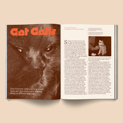 Catnip Magazine Vol 1