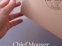 Chief Mouser Training Kit