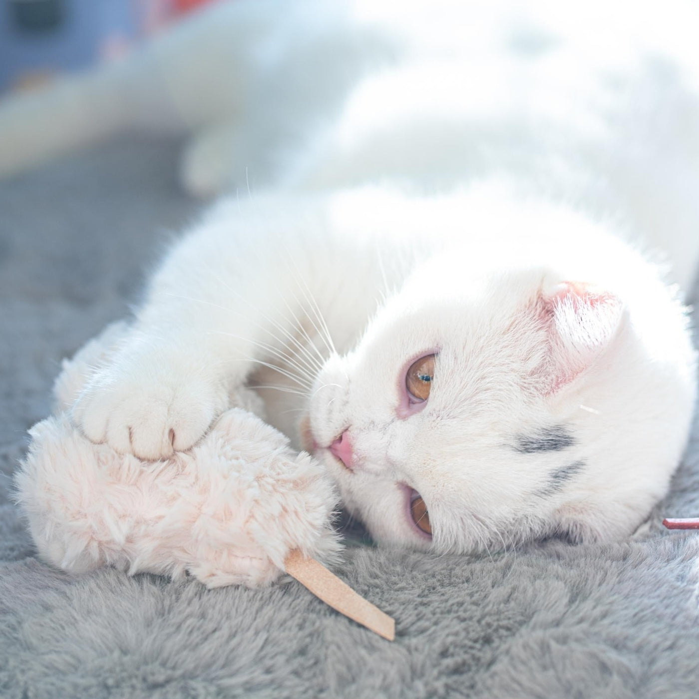 Organic Valerian Cat Cloud® Toy