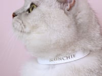 (End-of-Line) Wonderland - White Rabbit Cat Collar