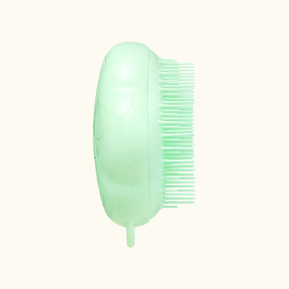 Pet Teezer Cat Brush