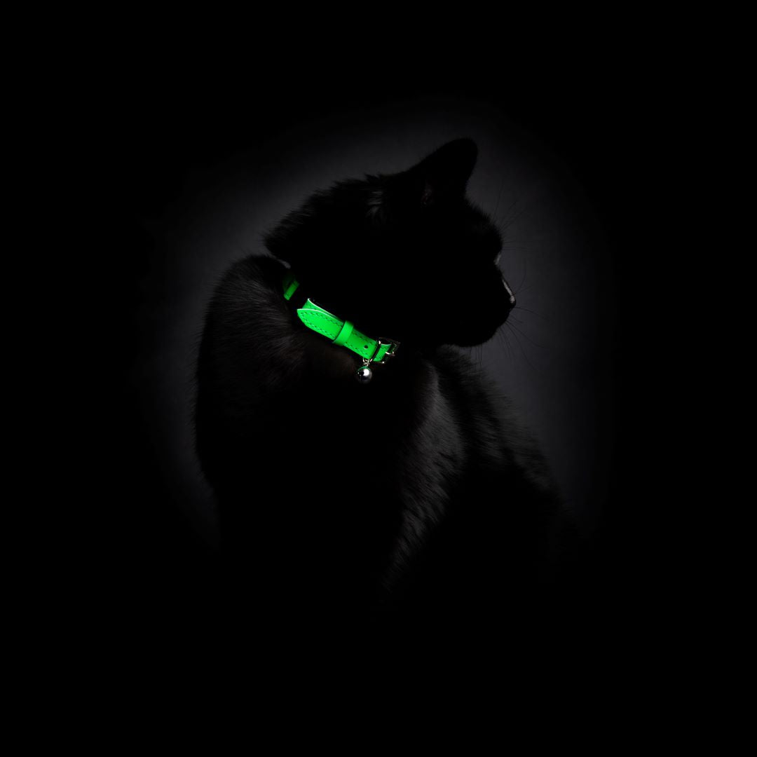 Best glow in the dark sales cat collars