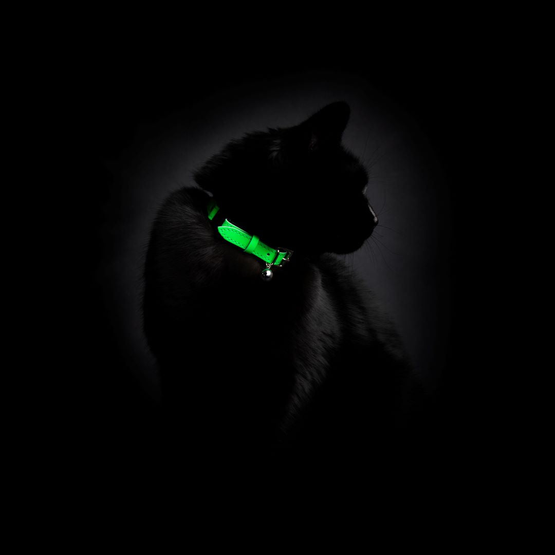 Neon Green - Reflective Cat Collar