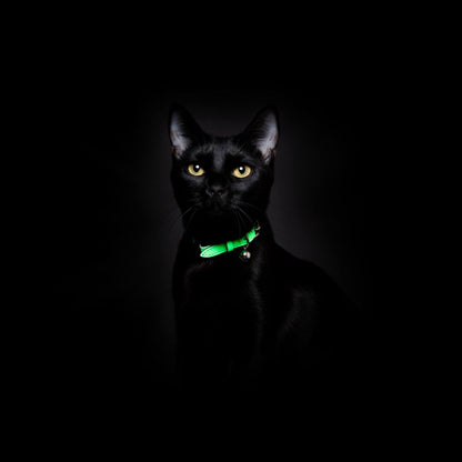 Neon Green - Reflective Cat Collar