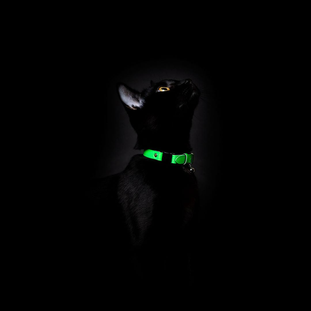 Neon Green - Reflective Cat Collar