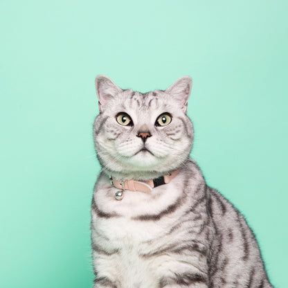The Archive: Candyfloss Cat Collar (Petite Only)