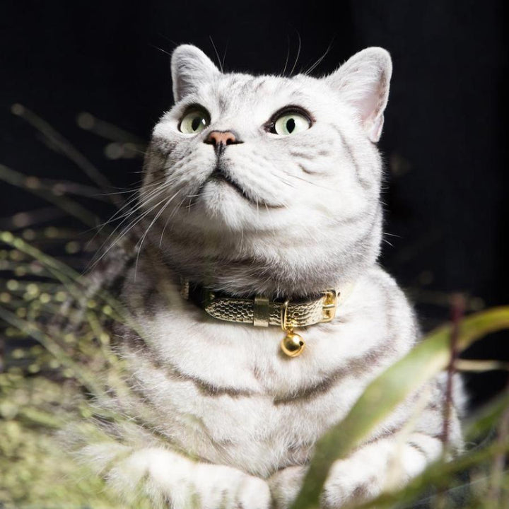 14k gold cat collar sale