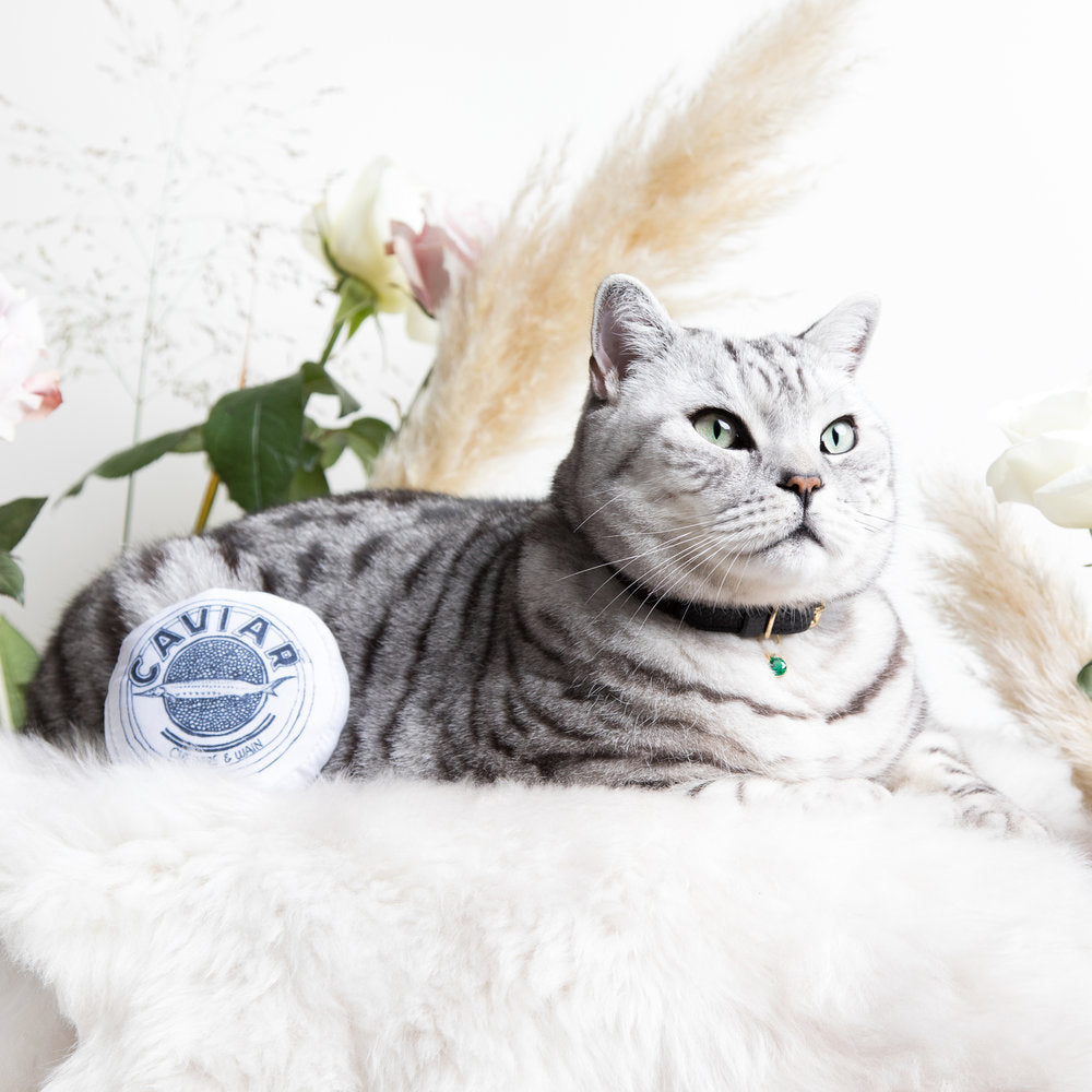 (SECONDS) Catnip Caviar Toy