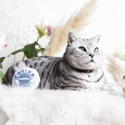 (SECONDS) Catnip Caviar Toy