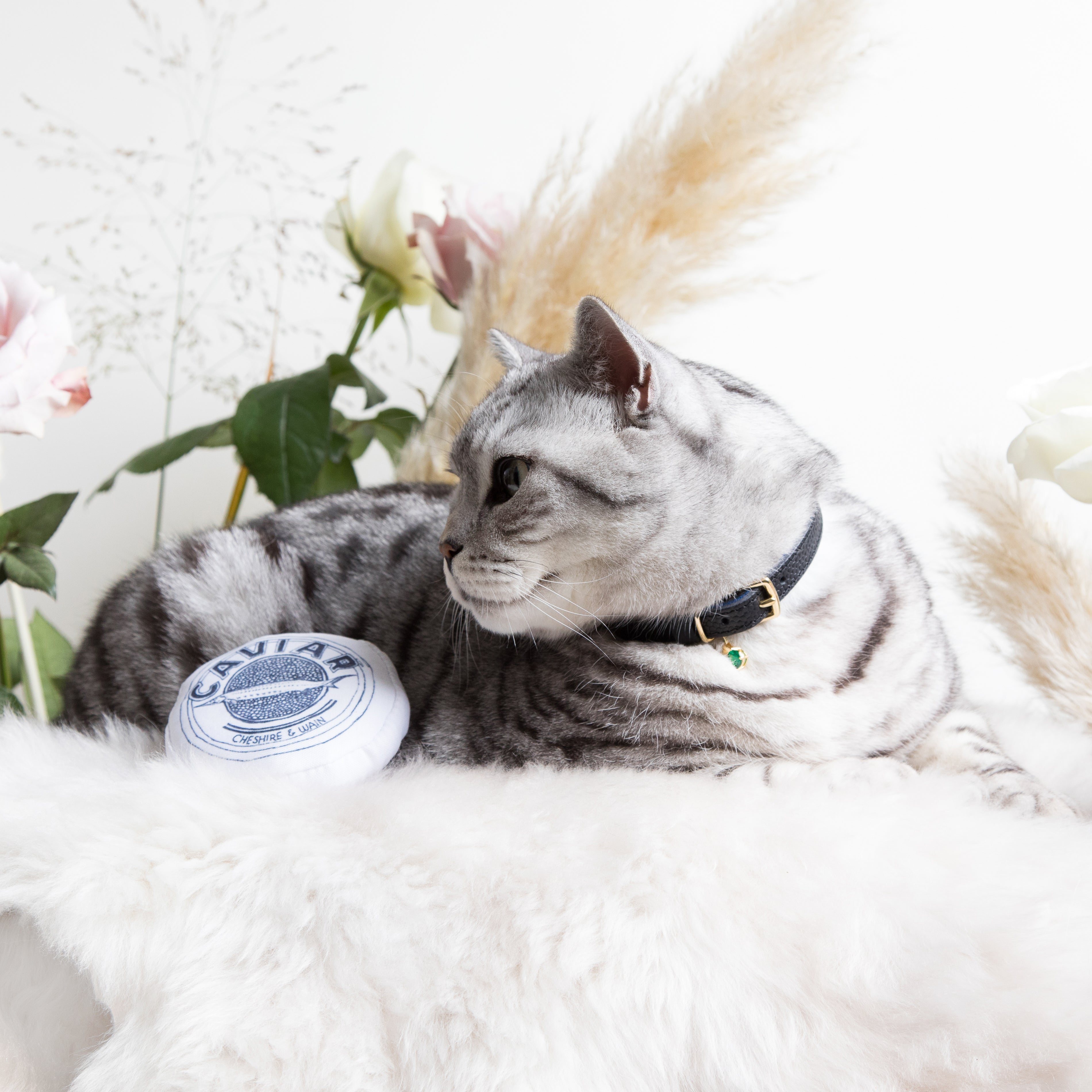 (SECONDS) Catnip Caviar Toy