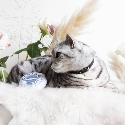 (SECONDS) Catnip Caviar Toy