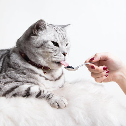 The 'Tsar' Caviar Cat Collar