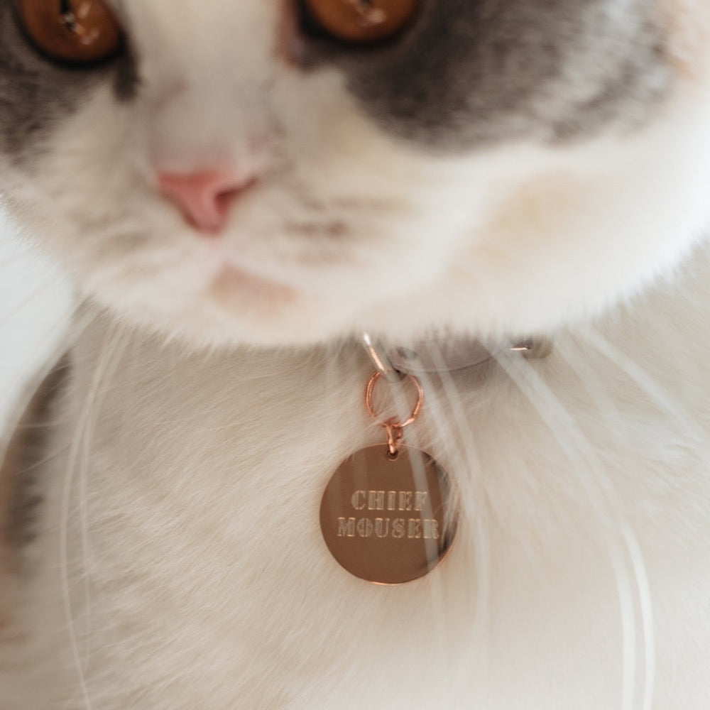 Cheshire & Wain Cat ID Tag Chief Mouser