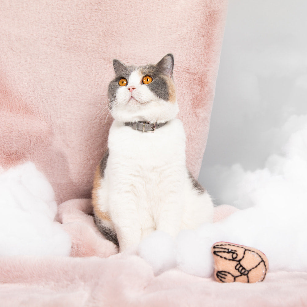 Cat Cloud® Throw - Cirrus Pink