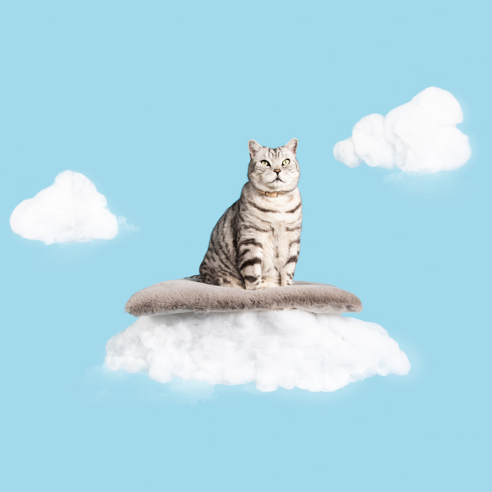Cat Cloud® Bed - Nimbus Grey