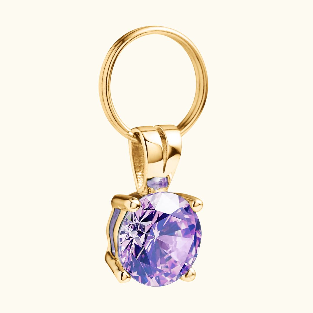 Color products/Cheshire_WainCatCollarGemCharmPurpleAmethyst.jpg