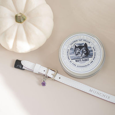 (End-of-Line) Wonderland - White Rabbit Cat Collar