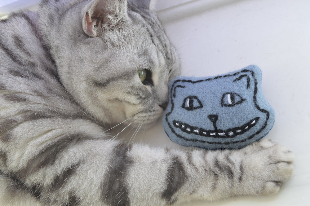 Cheshire Cat Catnip Toy