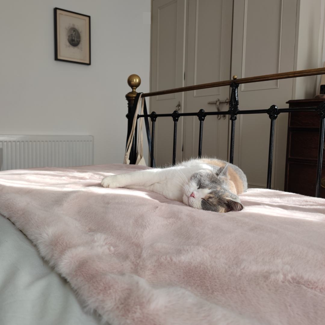 Cat Cloud® Throw - Cirrus Pink
