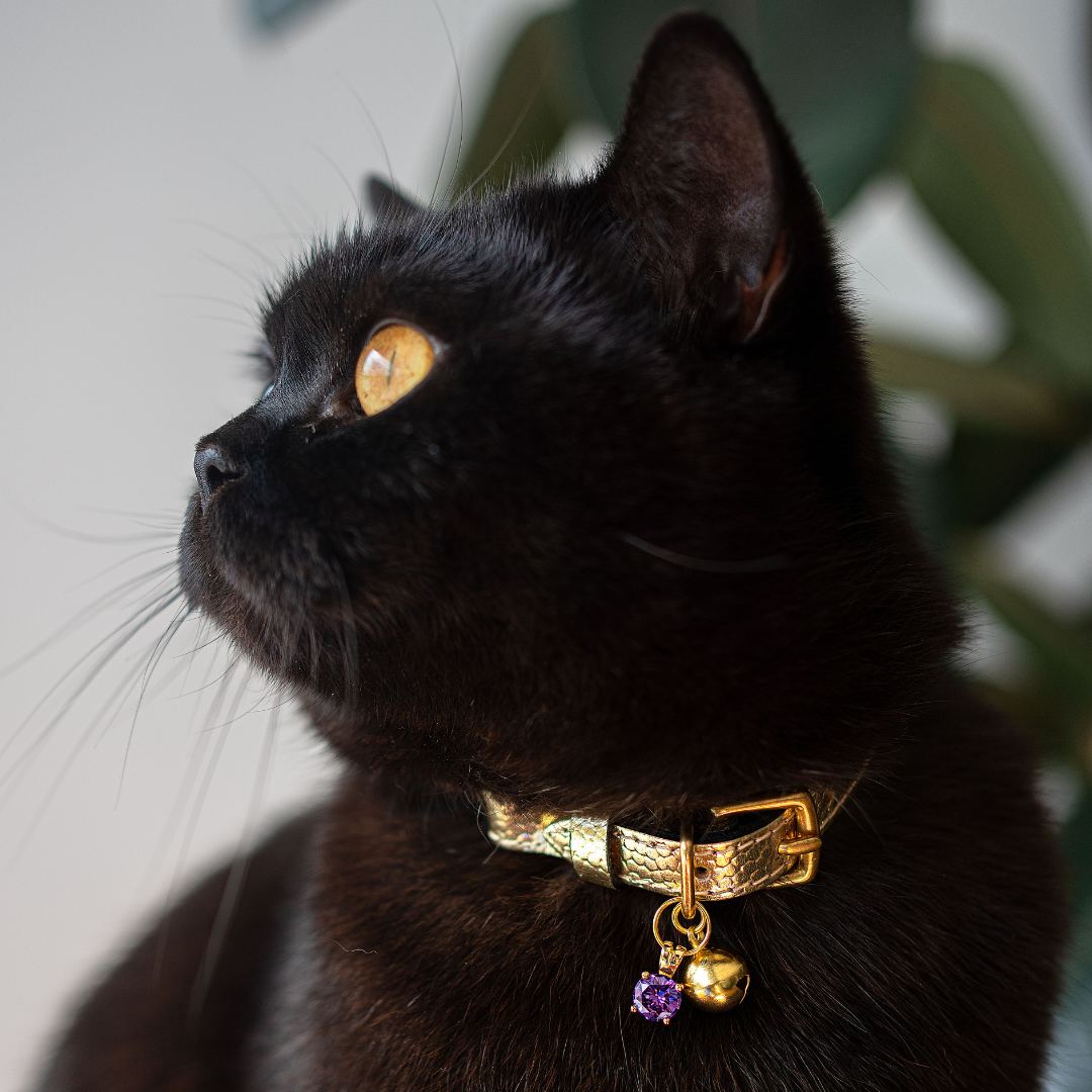 'Amethyst' Gem Collar Charm