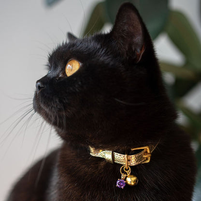 'Amethyst' Gem Collar Charm