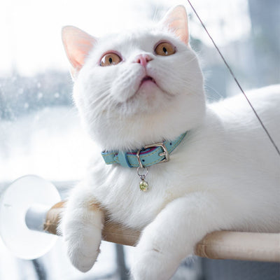 Louis Wain - Pastel Mint Cat Collar