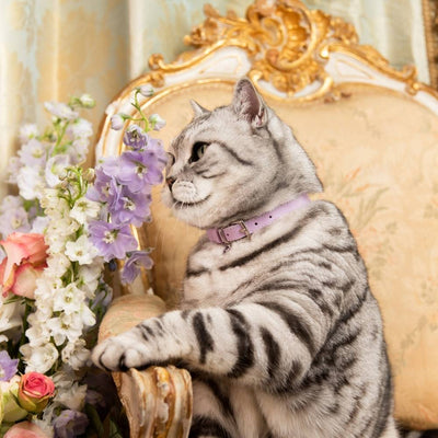 Rococo - Lilac Cat Collar