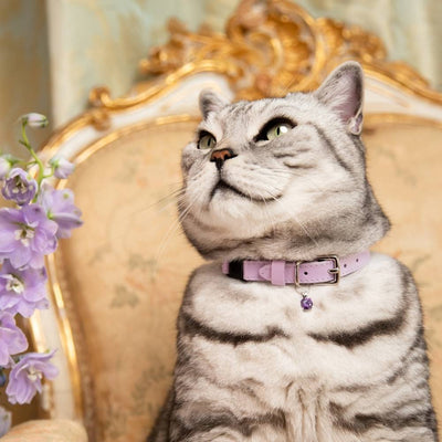 Rococo - Lilac Cat Collar