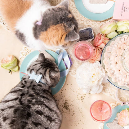 Rococo - Powder Blue Cat Collar