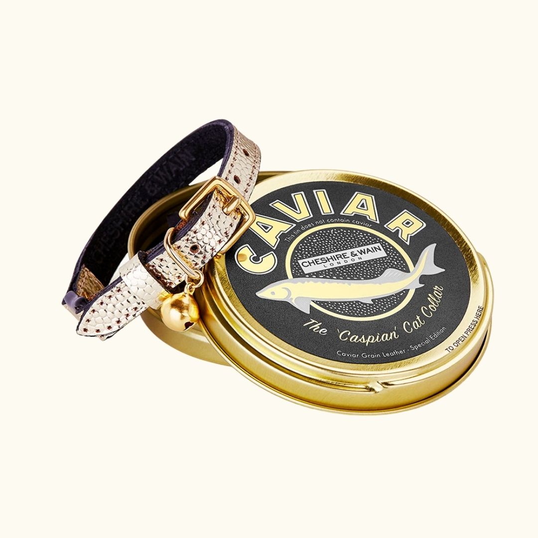 The 'Caspian' Caviar Cat Collar