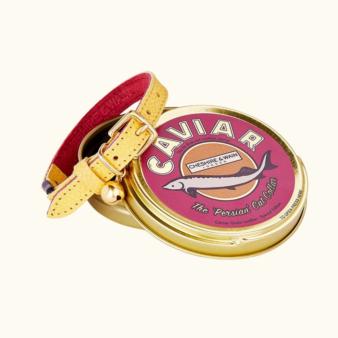 The 'Persian' Caviar Cat Collar