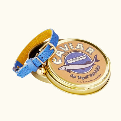 The 'Royal' Caviar Cat Collar