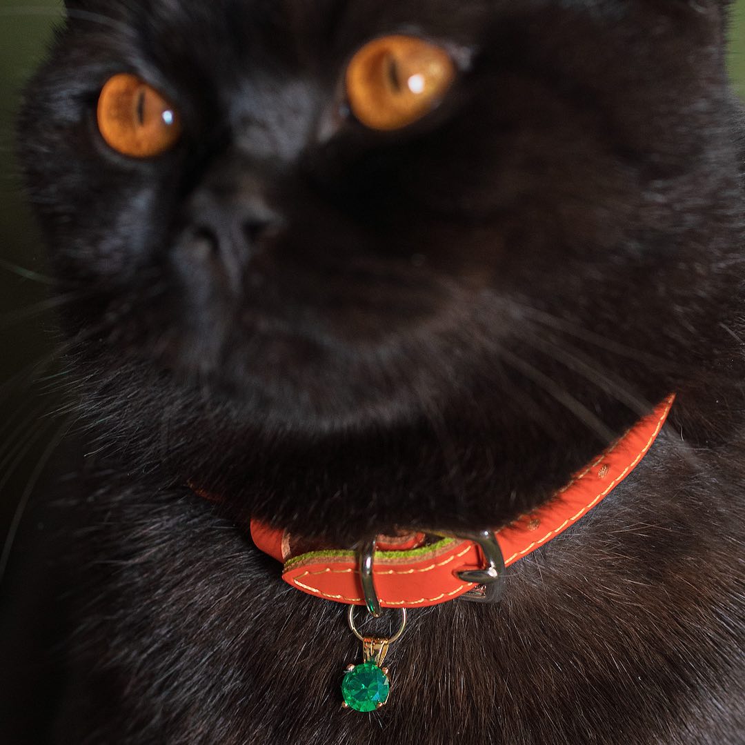 Cheshire & Wain - Louis Wain Purrsimmon Orange Cat Collar