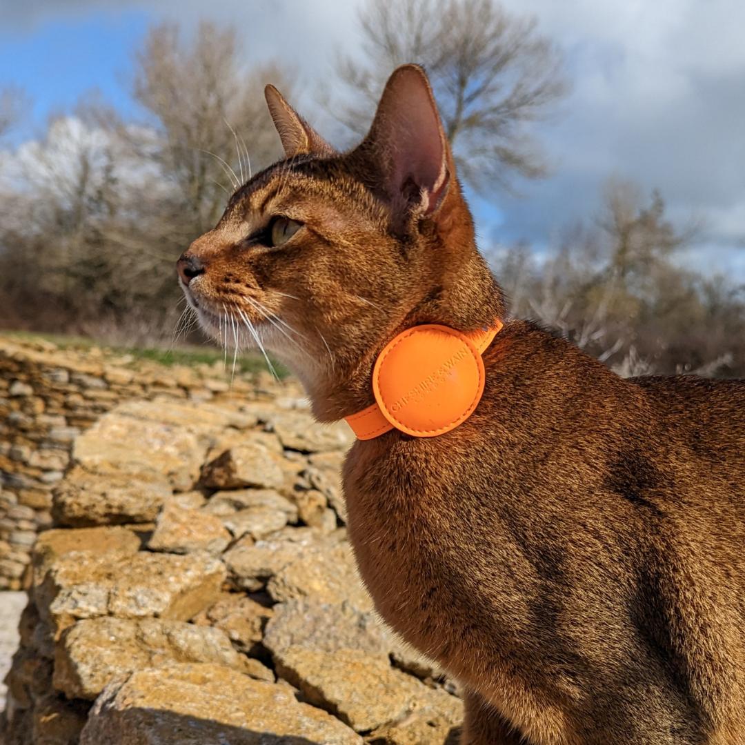 Cheshire & Wain | Reflective Apple Air Tag Case for Cat Collar