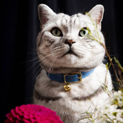 (SECONDS) Caviar Cat Collar