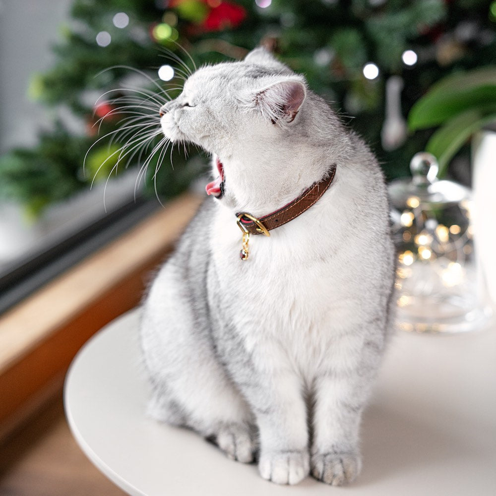 Vixen - Bronze Cat Collar