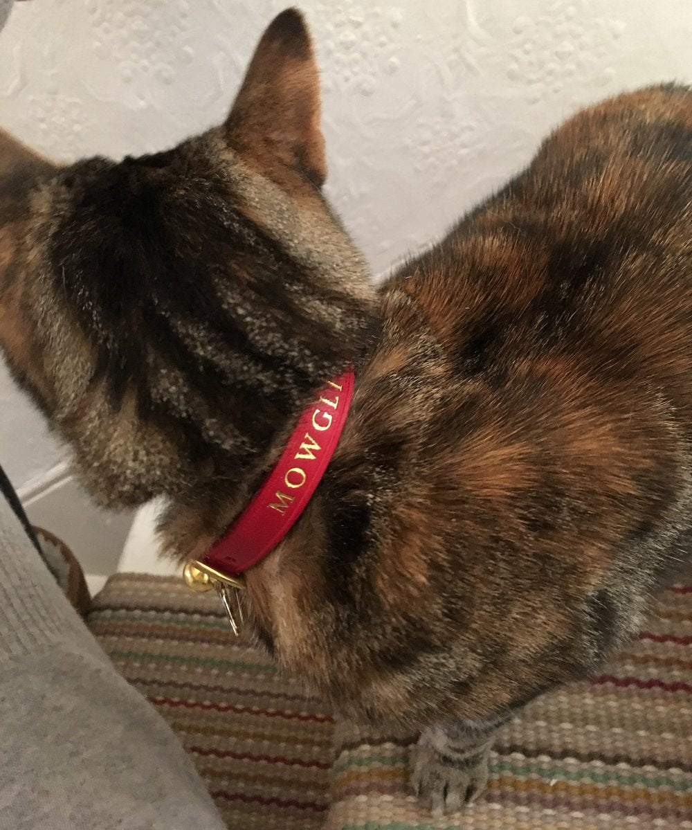 Heritage - Chester Red Cat Collar