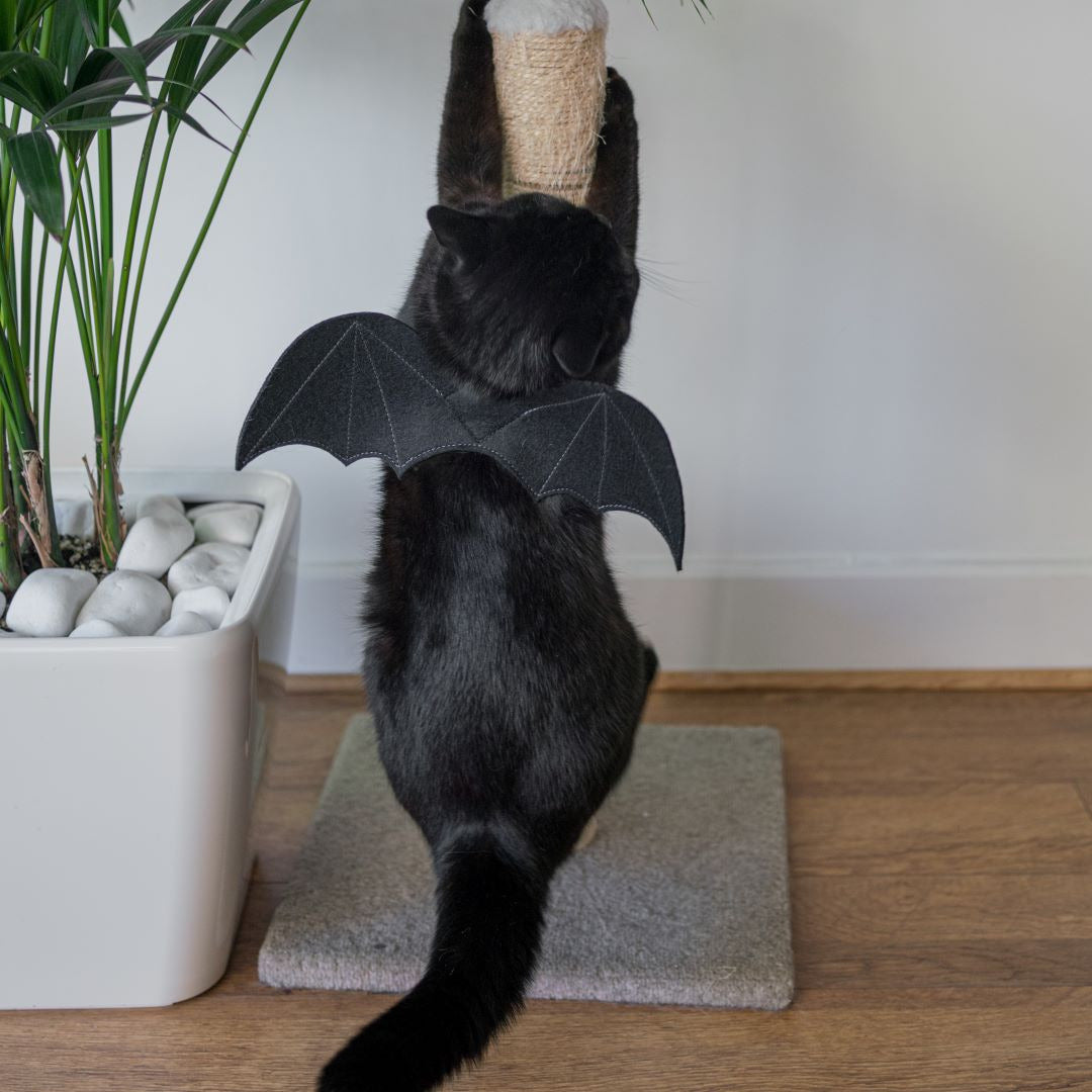 Count Catula - Halloween Bat Wings