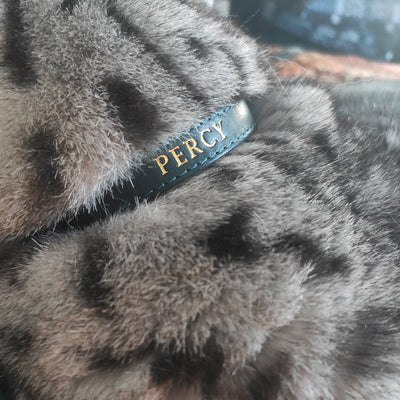 Heritage - Rigby Green Cat Collar