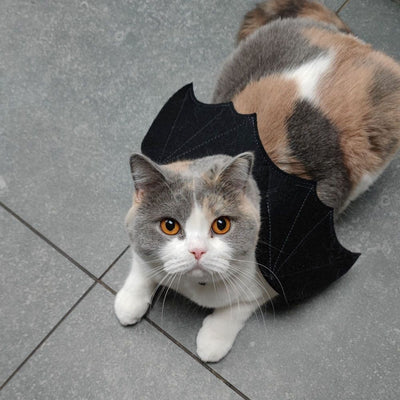 Halloween Bat Wings for Cat