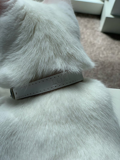 (End-of-Line) Wonderland - White Rabbit Cat Collar