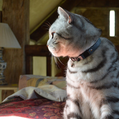Limited Edition - Luna Cat Collar