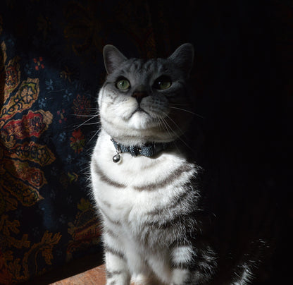 Limited Edition - Luna Cat Collar