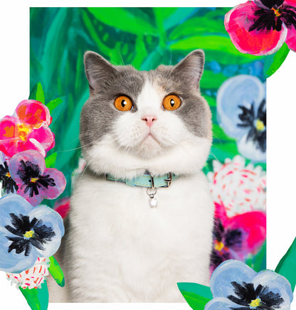 Louis Wain - Pastel Mint Cat Collar