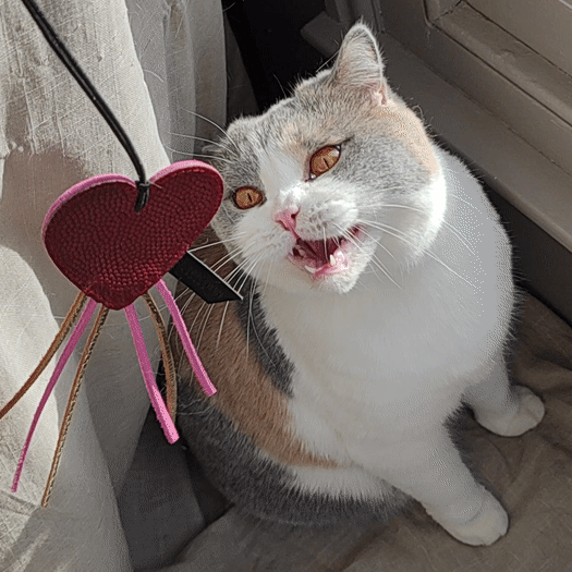 Leather Love Heart Cat Teaser Toy