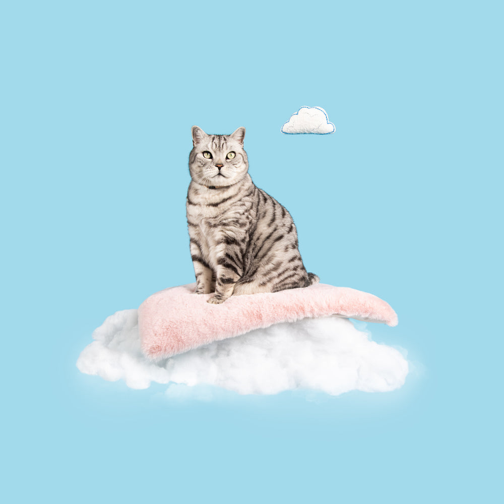 Cat Cloud® Bed - Cirrus Pink