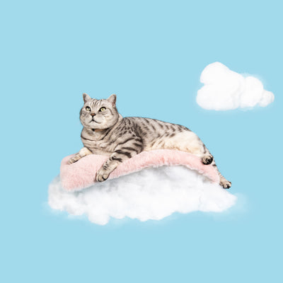 Cat Cloud® Bed - Cirrus Pink