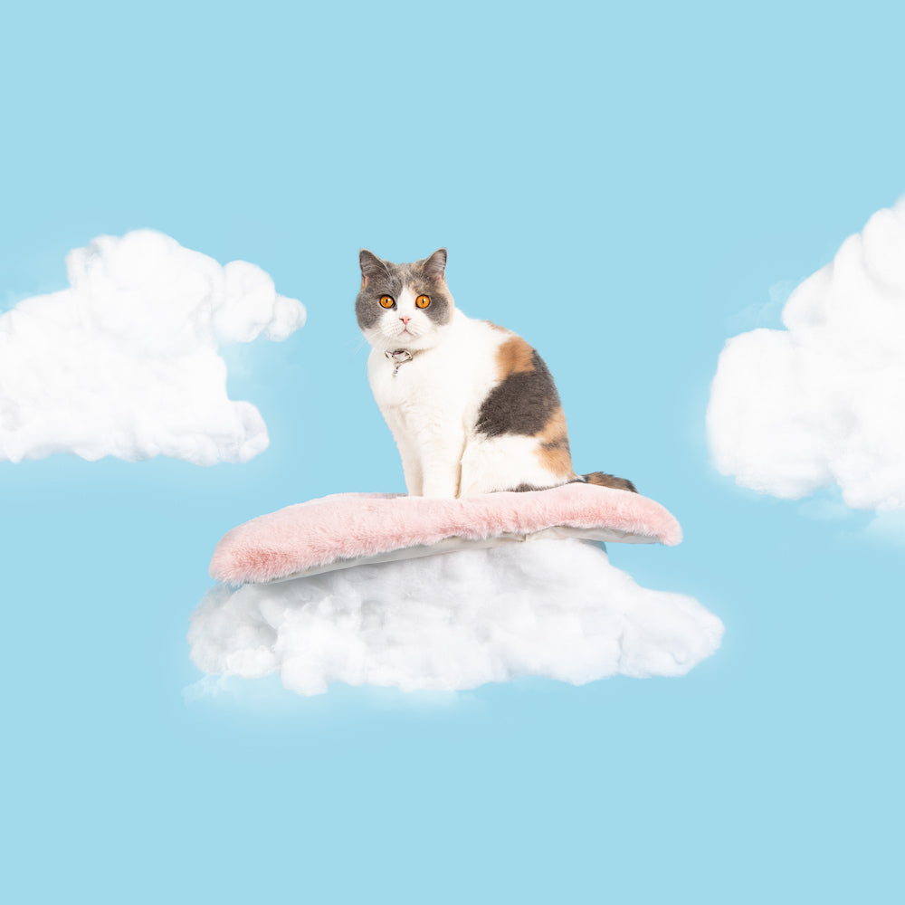 Cat Cloud® Bed - Cirrus Pink